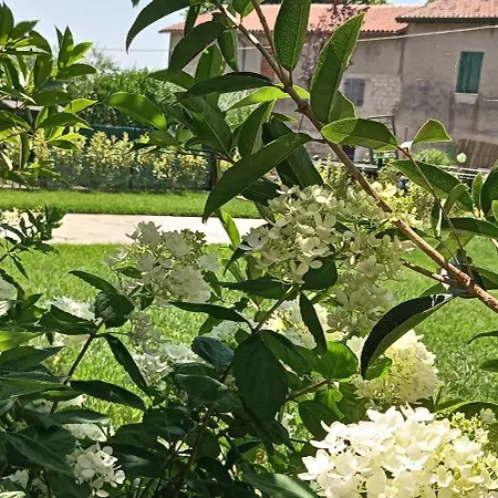 La Casa Di Sara Appartamento *